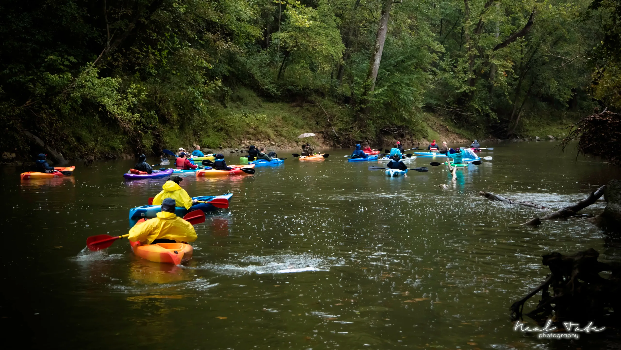 Half-Day-Trip-Groups-of-10-19-image-1